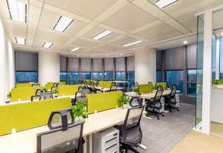 浙江口碑好的皮革基础介绍