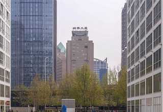 辽宁全自动生物质颗粒木片燃烧机生产商